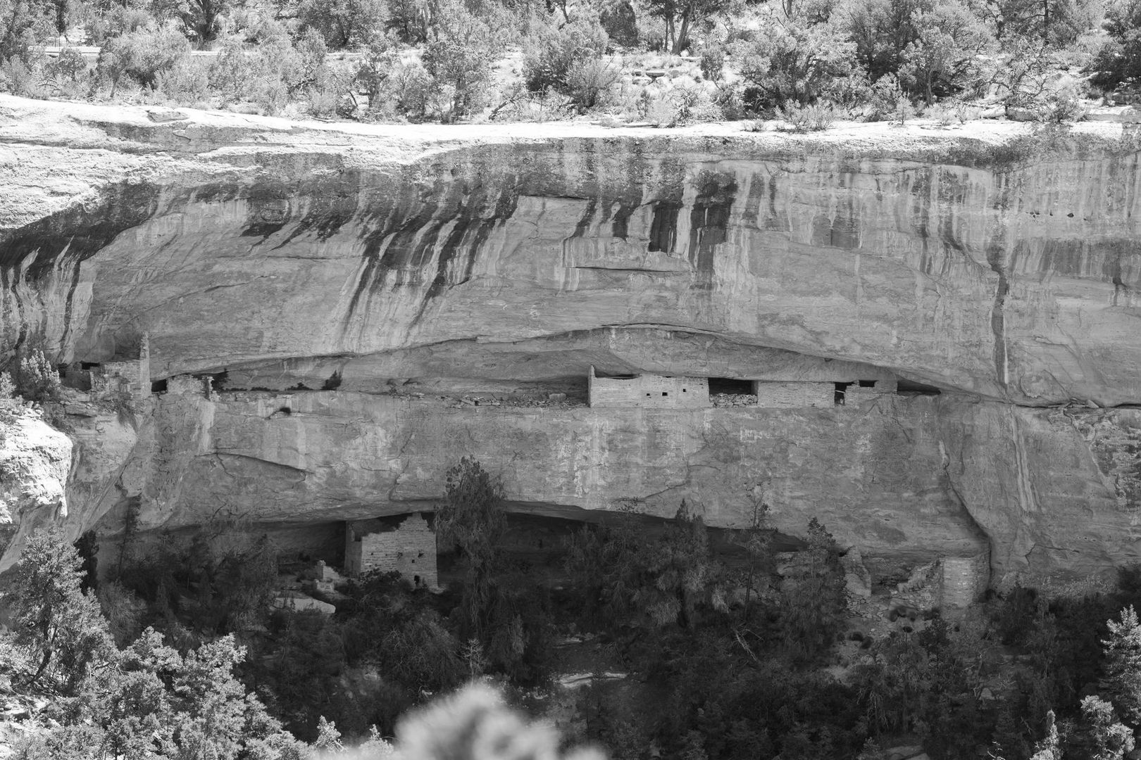 Stone dwellings built into a broad sandstone cliff beneath trees